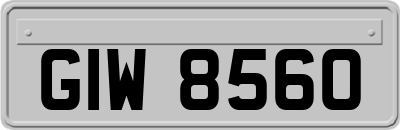 GIW8560