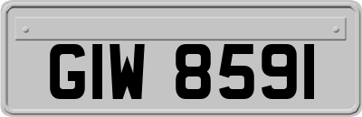 GIW8591