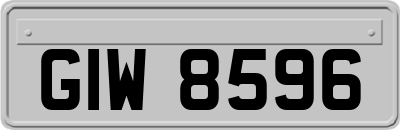 GIW8596