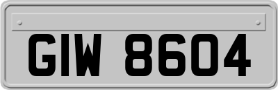 GIW8604