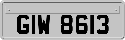 GIW8613