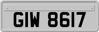 GIW8617