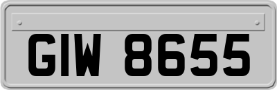GIW8655