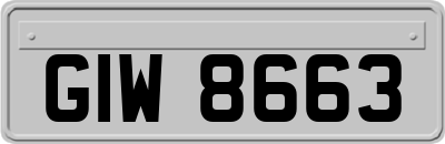 GIW8663