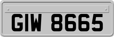GIW8665