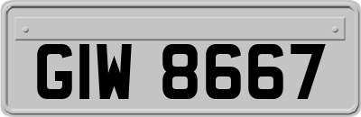 GIW8667