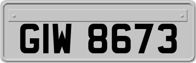 GIW8673