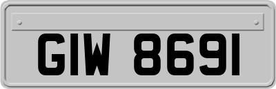 GIW8691