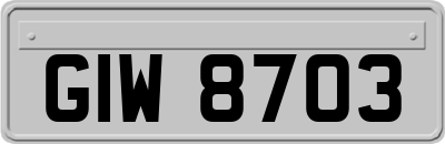 GIW8703