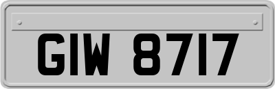 GIW8717