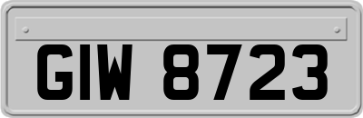 GIW8723