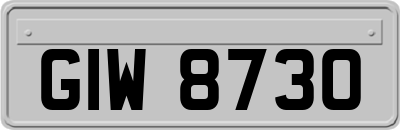 GIW8730