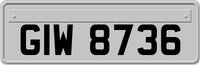 GIW8736