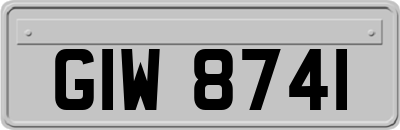 GIW8741