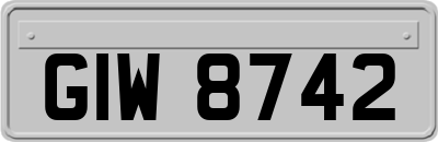 GIW8742