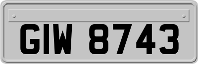 GIW8743