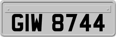 GIW8744