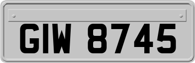 GIW8745