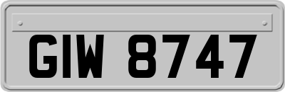 GIW8747