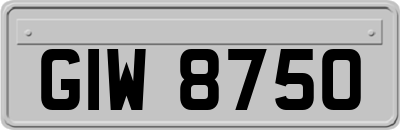 GIW8750