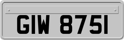 GIW8751