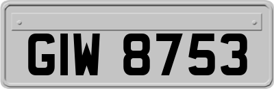 GIW8753