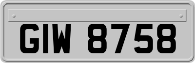 GIW8758