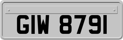 GIW8791