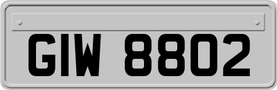 GIW8802