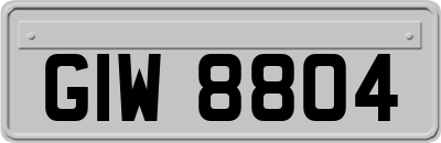 GIW8804