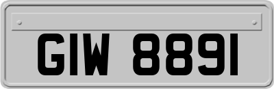 GIW8891