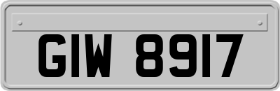 GIW8917