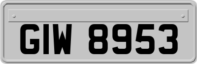 GIW8953