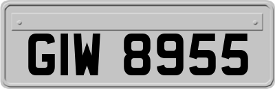 GIW8955