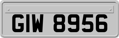 GIW8956