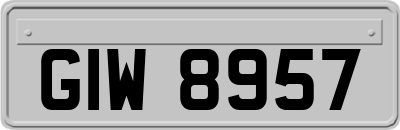 GIW8957