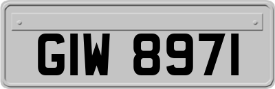 GIW8971
