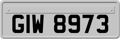 GIW8973