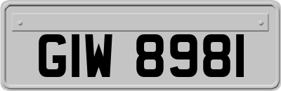 GIW8981