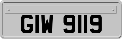 GIW9119