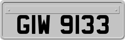 GIW9133