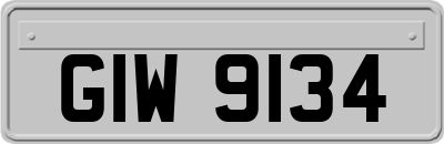 GIW9134