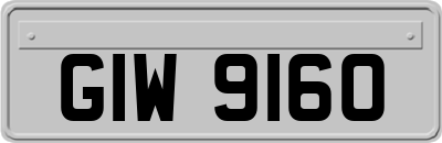 GIW9160