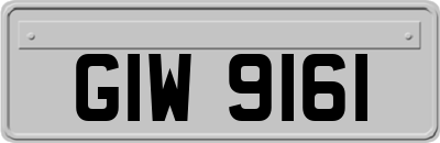 GIW9161