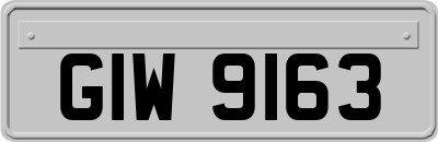 GIW9163