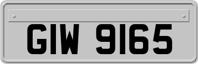 GIW9165