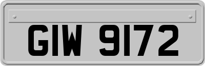 GIW9172