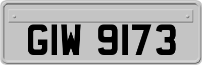 GIW9173