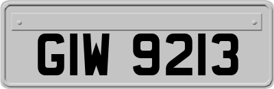 GIW9213