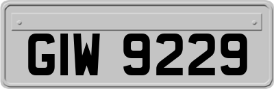 GIW9229
